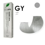 صبغة شعر بروسيل رمادي فاتح NO GY